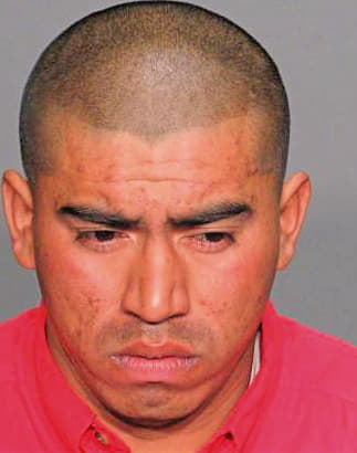 Castro Edin - Wake County, NC 