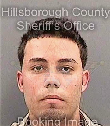 Abreuechevarria Jordan - Hillsborough County, FL 