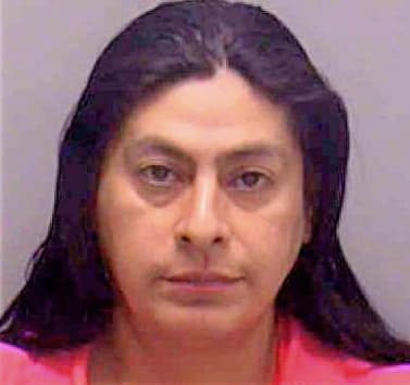 Garcia Julio - Lee County, FL 