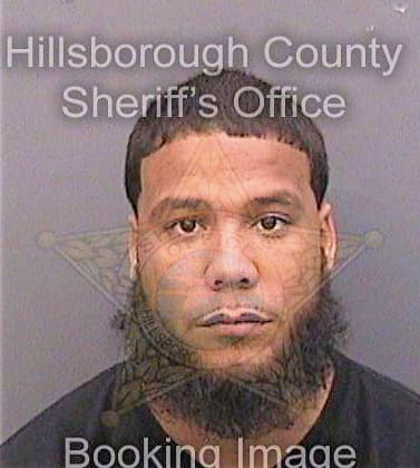 Urena Michael - Hillsborough County, FL 