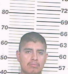 Montero Alejandro - Hidalgo County, TX 