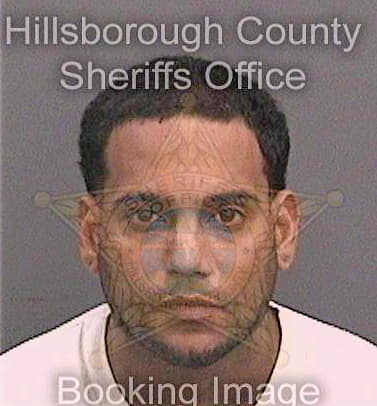 Caraballorodriguez Johan - Hillsborough County, FL 