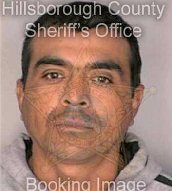 Castillo Jose - Hillsborough County, FL 