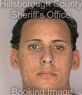Sotovazquez Jose - Hillsborough County, FL 