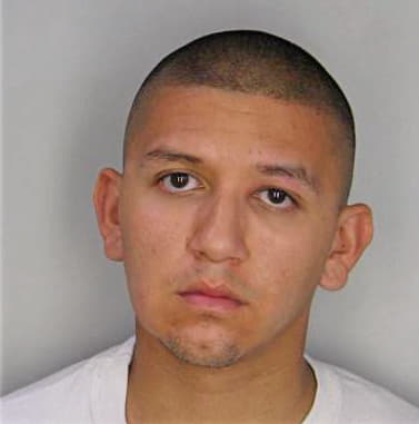 Soriano Leonides - Hillsborough County, FL 
