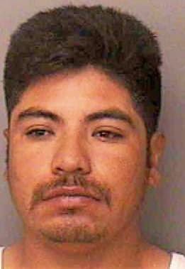 Demetrio Martinez - Polk County, FL 