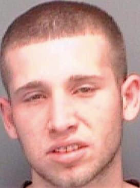 Semlitz Damien - Pinellas County, FL 