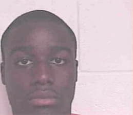 Mincey Steven - Jackson County, GA 