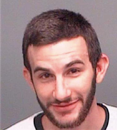 Pino Christopher - Pinellas County, FL 