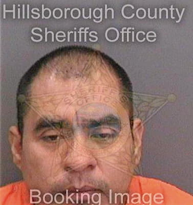 Jimenezaguilar Jesus - Hillsborough County, FL 