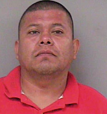 Hernandez Joel - Madera County, CA 
