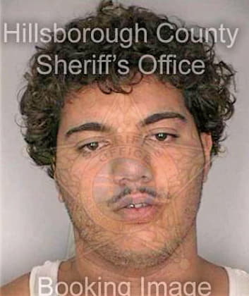 Rodriguez Nelson - Hillsborough County, FL 