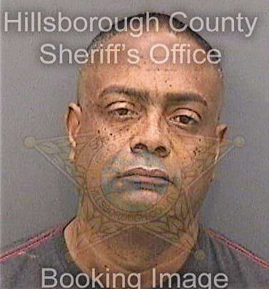 Matos Salvador - Hillsborough County, FL 