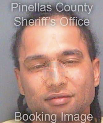 Robinson Brandon - Pinellas County, FL 