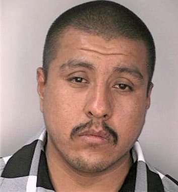 Gonzalezbarajas Victor - Hillsborough County, FL 