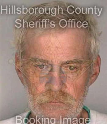 Papineau Vincent - Hillsborough County, FL 