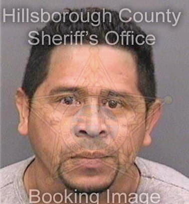 Navasgonzalez Wilman - Hillsborough County, FL 