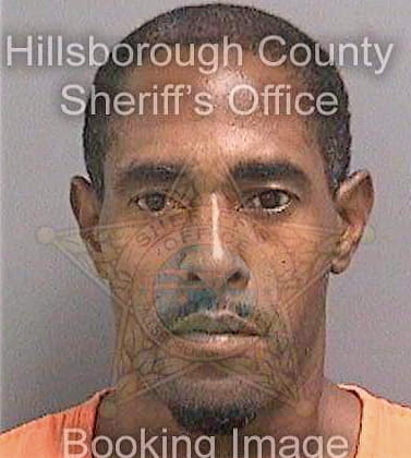 Hillmon Pierre - Hillsborough County, FL 
