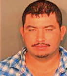 Torrs Fernando - Shelby County, TN 