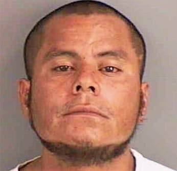 Sauceda Jose - Collier County, FL 