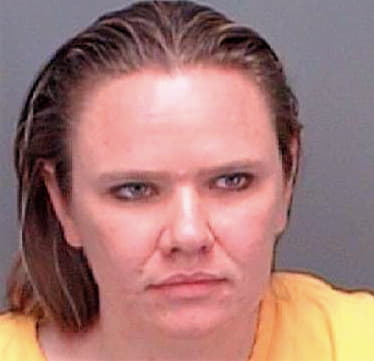 Arthur Nicole - Pinellas County, FL 