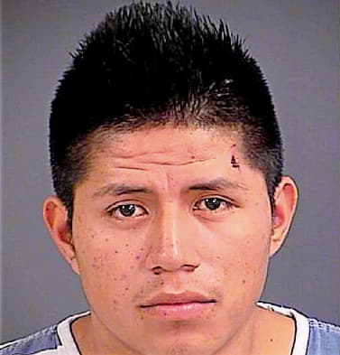 Lopez-Perez Rosaneo - Charleston County, SC 