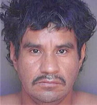 Chavez Amando - Polk County, FL 