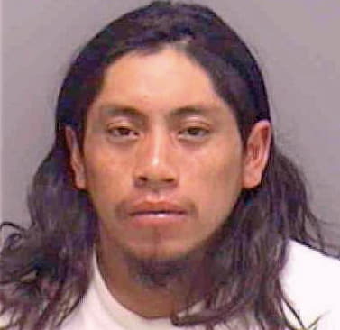 Cardona Baltazar - Lee County, FL 