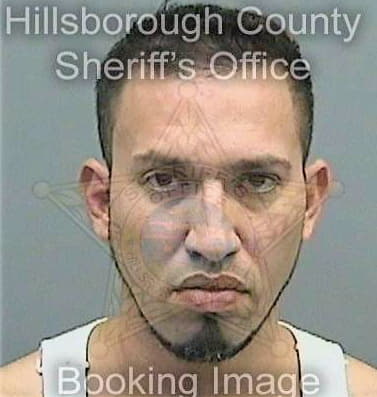 Acosta David - Hillsborough County, FL 