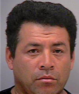 Ramirez David - Gwinnett County, GA 