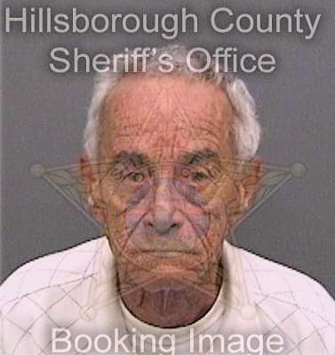 Brito Pablo - Hillsborough County, FL 
