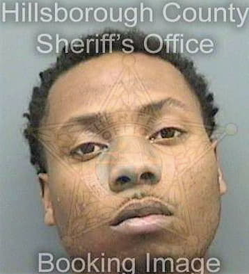 Brown Frederick - Hillsborough County, FL 