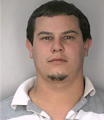Ortiz Hector - Hillsborough County, FL 