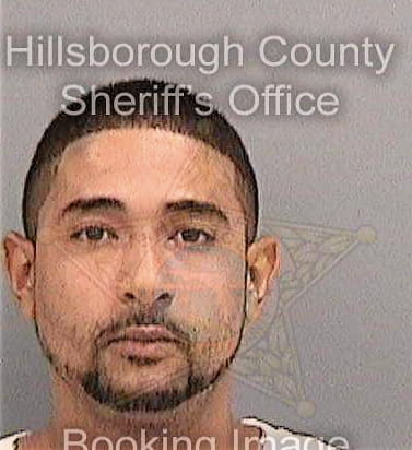 Deprospo John - Hillsborough County, FL 