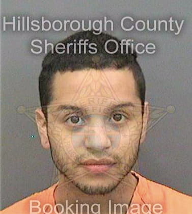 Garzon Juan - Hillsborough County, FL 