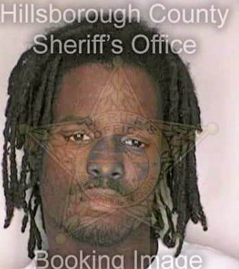 Stephens Justin - Hillsborough County, FL 