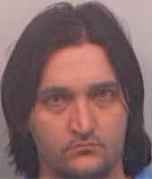 Hriston Vesselin - Fulton County, GA 