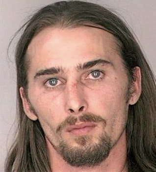 Taylor Brent - Hillsborough County, FL 