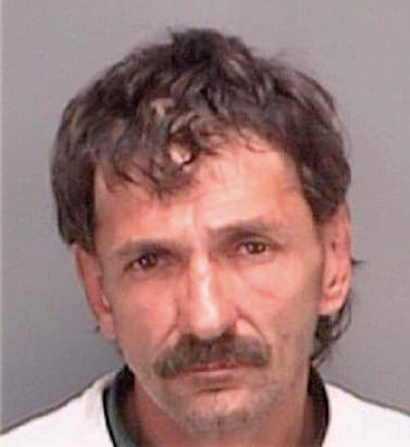 Gray Charles - Pinellas County, FL 