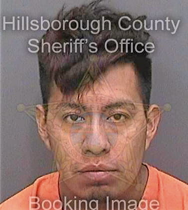 Hernandezlopez Junior - Hillsborough County, FL 
