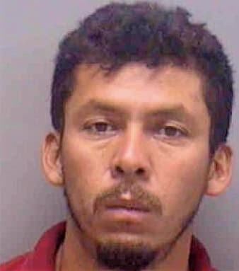Sanchez Ramon - Lee County, FL 