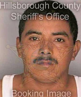 Juarez David - Hillsborough County, FL 