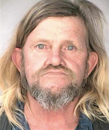 Straughn Dennis - Hillsborough County, FL 