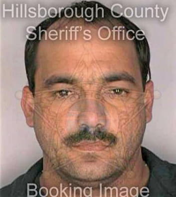 Herrera Luis - Hillsborough County, FL 