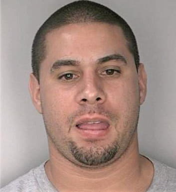 Rodriguez Nathaniel - Hillsborough County, FL 