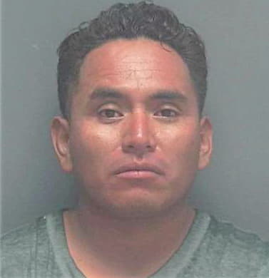 Hernandez Alejandro - Lee County, FL 