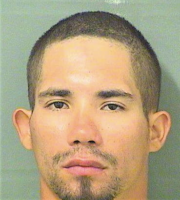Rodriguezserrano Jorge - PalmBeach County, FL 