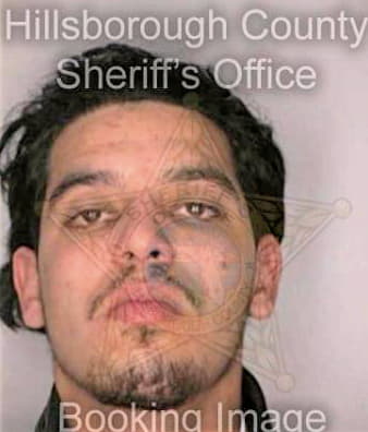 Morales Antonio - Hillsborough County, FL 
