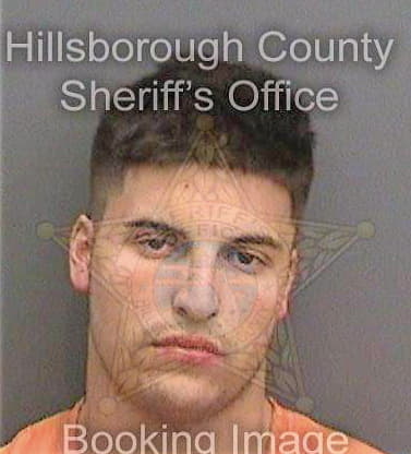 Delbene Christopher - Hillsborough County, FL 