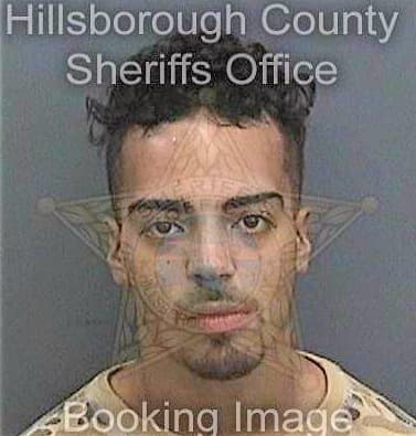 Rosario Rafael - Hillsborough County, FL 
